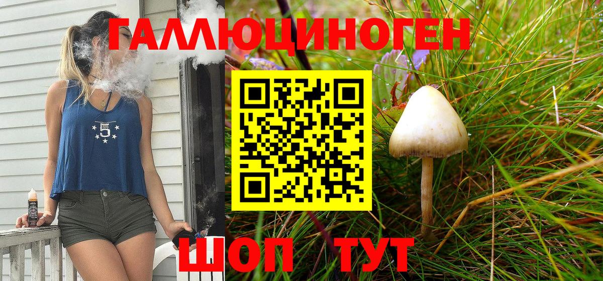 Галлюциногенные грибы Psilocybe Сухой Лог
